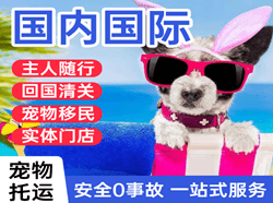 无锡机场托运国际宠物托运 【国